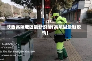 陕西高陵地区最新疫情(高陵县最新疫情)