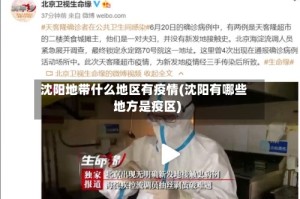 沈阳地带什么地区有疫情(沈阳有哪些地方是疫区)