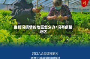 当前没疫情的地区怎么办/没有疫情地区