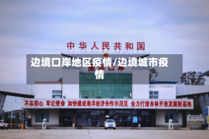边境口岸地区疫情/边境城市疫情
