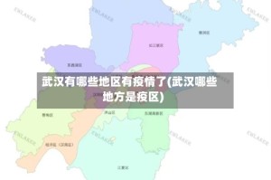 武汉有哪些地区有疫情了(武汉哪些地方是疫区)