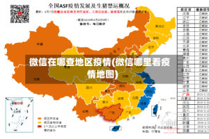 微信在哪查地区疫情(微信哪里看疫情地图)