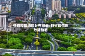 各省疫情地区分布图表/各省疫情图数据动态