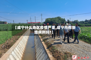 【咸宁什么地区疫情严重,咸宁市有新增病例吗?】