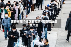 西安市哪个地区有疫情/西安哪块疫情严重