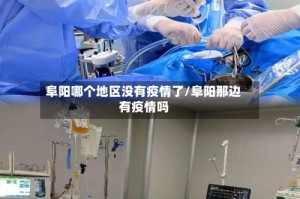 阜阳哪个地区没有疫情了/阜阳那边有疫情吗