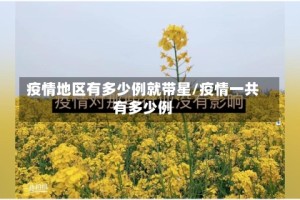 疫情地区有多少例就带星/疫情一共有多少例