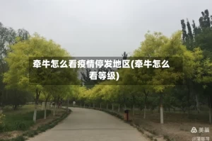 牵牛怎么看疫情停发地区(牵牛怎么看等级)
