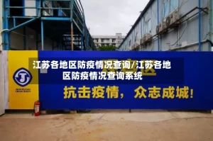 江苏各地区防疫情况查询/江苏各地区防疫情况查询系统