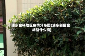 浦东金杨地区疫情分布图(浦东新区金杨路什么镇)