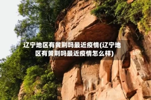 辽宁地区有黄荆吗最近疫情(辽宁地区有黄荆吗最近疫情怎么样)