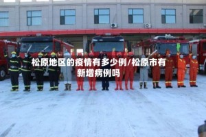 松原地区的疫情有多少例/松原市有新增病例吗