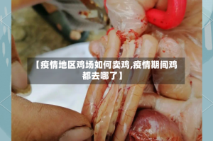 【疫情地区鸡场如何卖鸡,疫情期间鸡都去哪了】