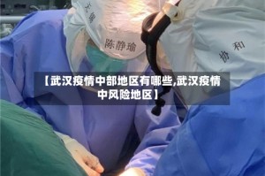 【武汉疫情中部地区有哪些,武汉疫情中风险地区】