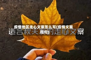 疫情地区走心文案怎么写(疫情文案短句)