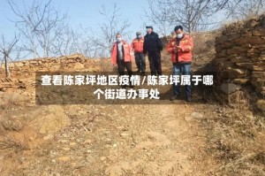 查看陈家坪地区疫情/陈家坪属于哪个街道办事处