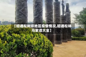 【昭通松树坪地区疫情情况,昭通松林马家谱大全】