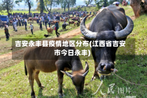 吉安永丰县疫情地区分布(江西省吉安市今日永丰)
