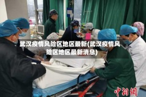 武汉疫情风险区地区最新(武汉疫情风险区地区最新消息)