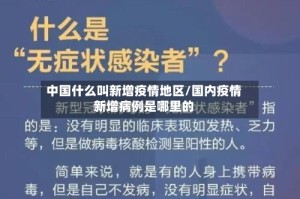 中国什么叫新增疫情地区/国内疫情新增病例是哪里的