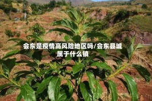 会东是疫情高风险地区吗/会东县城属于什么镇