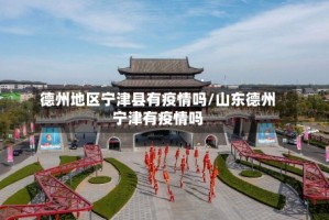 德州地区宁津县有疫情吗/山东德州宁津有疫情吗