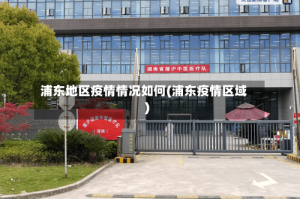 浦东地区疫情情况如何(浦东疫情区域)