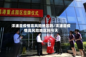 洋浦是疫情高风险地区吗/洋浦是疫情高风险地区吗今天