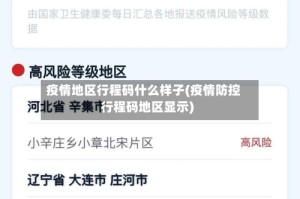 疫情地区行程码什么样子(疫情防控行程码地区显示)