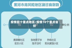 疫情前十重点地区/疫情10个重点省份