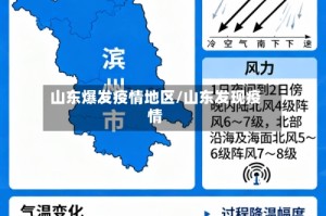 山东爆发疫情地区/山东发现疫情