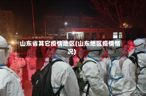 山东省其它疫情地区(山东地区疫情情况)
