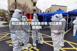 松江现在几个地区有疫情/松江区有疫情吗