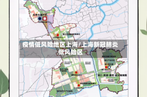 疫情低风险地区上海/上海新冠肺炎低风险区