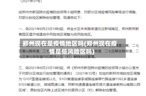 郑州现在是疫情地区吗(郑州现在疫情是低风险区吗)
