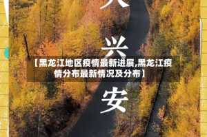 【黑龙江地区疫情最新进展,黑龙江疫情分布最新情况及分布】