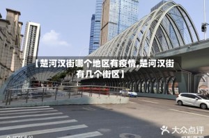 【楚河汉街哪个地区有疫情,楚河汉街有几个街区】
