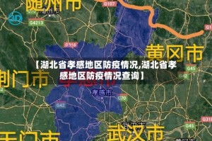 【湖北省孝感地区防疫情况,湖北省孝感地区防疫情况查询】