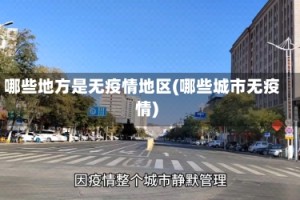 哪些地方是无疫情地区(哪些城市无疫情)