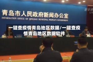 一键查疫情青岛地区数据/一键查疫情青岛地区数据软件