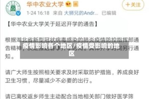疫情影响各个地区/疫情受影响的地区