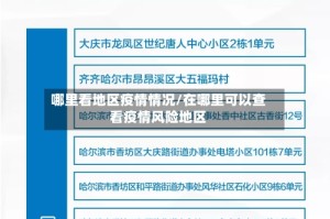 哪里看地区疫情情况/在哪里可以查看疫情风险地区