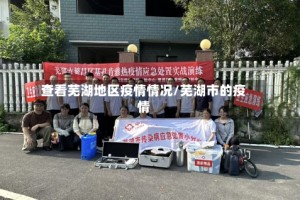 查看芜湖地区疫情情况/芜湖市的疫情