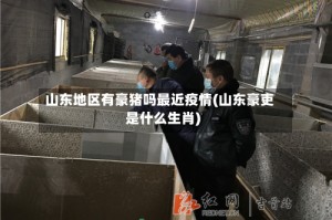 山东地区有豪猪吗最近疫情(山东豪吏是什么生肖)