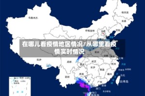 在哪儿看疫情地区情况/从哪里看疫情实时情况