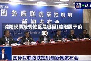 沈阳现属疫情地区是哪里(沈阳属于疫区)