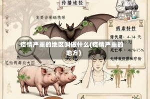 疫情严重的地区叫做什么(疫情严重的地方)