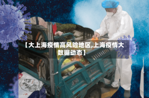 【大上海疫情高风险地区,上海疫情大数据动态】