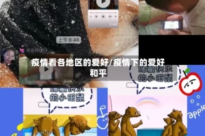 疫情看各地区的爱好/疫情下的爱好和平