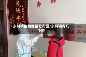 东风镇疫情地区分布图/东风镇有几个村